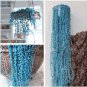 200 PCS Seeds Pearl Chlorophytum Bonsai Mixed Colors
