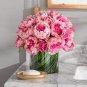 5 PCS Seeds Peony 'Silky Flag' Bi-colored Flower