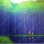 20 PCS Seeds Perennial Bamboo Plant Fresh Giant Mixed Moso Bambu Plant