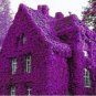 100 PCS Seeds Perfume Rainbow Climbing Plants Coulourful Rock Cress Flower