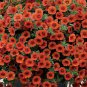100 PCS Seeds Petunia Vigorous Free-flowering Annual Bonsai Flower