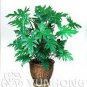 100 PCS Seeds Philodendron Bonsai, Vine Leaf, Indoor Plants Anti Radiation Absorb dust Tree Bonsai