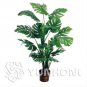 100 PCS Seeds Philodendron Bonsai, Vine Leaf, Indoor Plants Anti Radiation Absorb dust Tree Bonsai