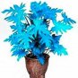 200 PCS Seeds Philodendron Tree
