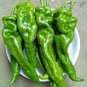 30 PCS Seeds Pig Intestines' Long Crooked Hot Chili Pepper Vegetable