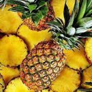 100 PCS Seeds Pineapple