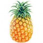 100 PCS Seeds Pineapple