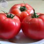 100 PCS Seeds Pink King Tomato