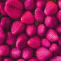 300 PCS Seeds Pink Strawberry Hybrid Seeds Giant Juicy Potted Fruit
