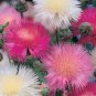 40 PCS Seeds Pink Sweet Sultan Cornflower