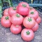 50 PCS Seeds Pink Tomato Big Fruit 50 PCS Seeds Pink Tomato Big Fruit