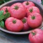 50 PCS Seeds Pink Tomato Big Fruit