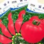 50 PCS Seeds Pink Tomato Big Fruit