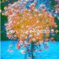 100 PCS Seeds Plumbago Auriculata Bonsai Exotic Perennial Flowers Bonsai