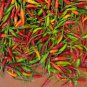 40 PCS Seeds Pod Pepper Thin Red Green Long Chili Vegetable