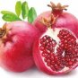 10 PCS Seeds POMEGRANATE FRUIT TREE Red Punica Granatum