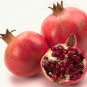 10 PCS Seeds POMEGRANATE FRUIT TREE Red Punica Granatum