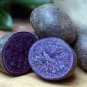 100 PCS Seeds Potato Purple Color