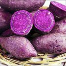 100 PCS Seeds Potato Seeds Purple Color