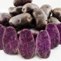 100 PCS Seeds Potato Seeds Purple Color