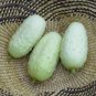 20 PCS Seeds Practical NEW Seeds Cucumber Bilyy Anhel-White Angel Organic Vegetable