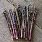 20 PCS Seeds Precoce D'Argenteuil Asparagus