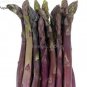 20 PCS Seeds Precoce D'Argenteuil Asparagus