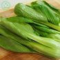 500 PCS Seeds Pterocladia tenuis Chinese Little Greens Vegetable