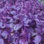 35 PCS Seeds Purple Basil Seeds Aromatic Plants
