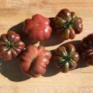 100 PCS Seeds Purple Calabash Tomato 100 PCS Seeds Purple Calabash Tomato