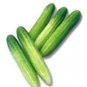 100 PCS Seeds Purple Cucumber Seeds Garden Farm Vegetable Plants