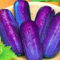 100 PCS Seeds Purple Cucumber Seeds Garden Farm Vegetable Plants