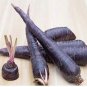 100 PCS Seeds Purple Dragon Carrot