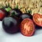 20 PCS Seeds Purple Golden Cherry Tomato Organic
