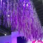 200 PCS Seeds Purple Pearl Chlorophytum Bonsai