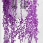 200 PCS Seeds Purple Pearl Chlorophytum Bonsai