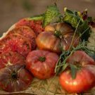 250 PCS Seeds Purple Rose Dwarf Tomato