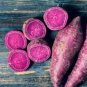 100 PCS Seeds Purple Sweet Potato