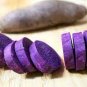 100 PCS Seeds Purple Sweet Potato