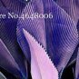 100 PCS Seeds Purple Travelers Palm Flores Bonsai Ravenala Madagascariensis Chinese Fan Palm Plant