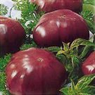 100 PCS Seeds Rainbow  Black Elephant Tomato