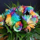 20 PCS Seeds Rainbow Chrysanthemum Flower
