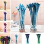 40 PCS Seeds Rainbow Lucky Bamboo Bonsai Small Potted Plants