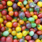 100 PCS Seeds Rainbow Tomato
