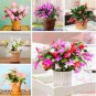 200 PCS Seeds Rainbow Zygocactus Truncatus