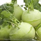 50 PCS Seeds Rapeform Mustard
