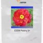 5 PCS Seeds Rare 'Hua Wang' Red Peony Flower with Golden Spot Flower