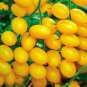 20 PCS Seeds Rare 'Imperial concubine' F1 Yellow Cherry Tomato
