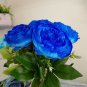 5 PCS Seeds Rare 'Luo Yang' Dark Blue Tree Peony Flower Bonsai