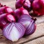 1000 PCS Seeds Rare Allium Cepa Purple Round Onions Vegetables